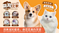 宠物之家店招海报-源文件分享-ywjfx.cn