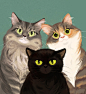 一组猫咪的手绘插画，神态的捕捉和细节表现很到位，每只猫咪都活灵活现。
by:Rachel Foo (behance.net/speakyst)
获取全套AI视频教程
O网页链接 ​​​​