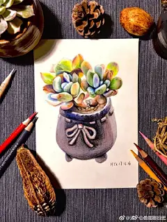彩铅画手绘作品   多肉植物组合
作者@洪一心的插画日记  
最美彩铅画#中秋节#手绘绘画彩铅画画 2永州 · 龙泉镇 ​​​​