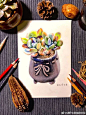彩铅画手绘作品   多肉植物组合<br/>作者@洪一心的插画日记  <br/>最美彩铅画#中秋节#手绘绘画彩铅画画 2永州 · 龙泉镇 ​​​​