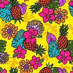 重复的芙蓉