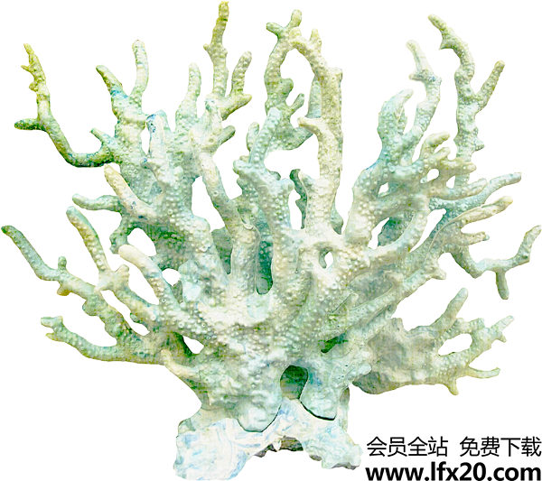 海底世界珊瑚海藻海草