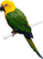 liKzkSVqK4k58u6hlyE_Te1Kb93K (2259×3048)