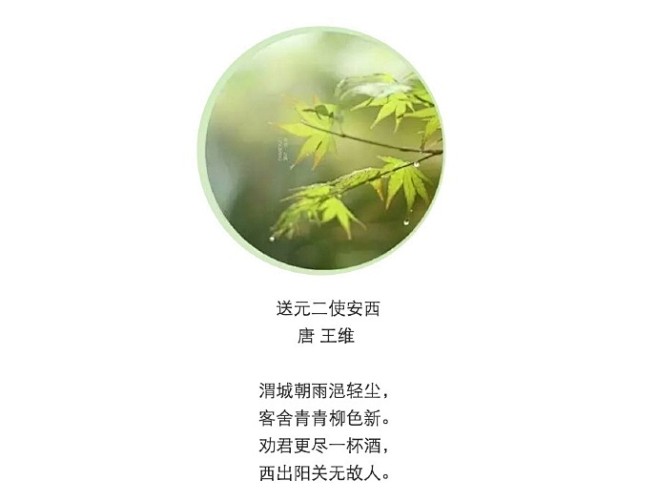 一场春雨一首诗