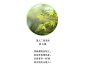 一场春雨一首诗