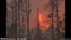 大自然 自然灾害 森林大火 森林火灾 火灾 大火 实用标清素材 标清实拍素材 标清影视素材 多媒体设计 视频剪辑 AVI