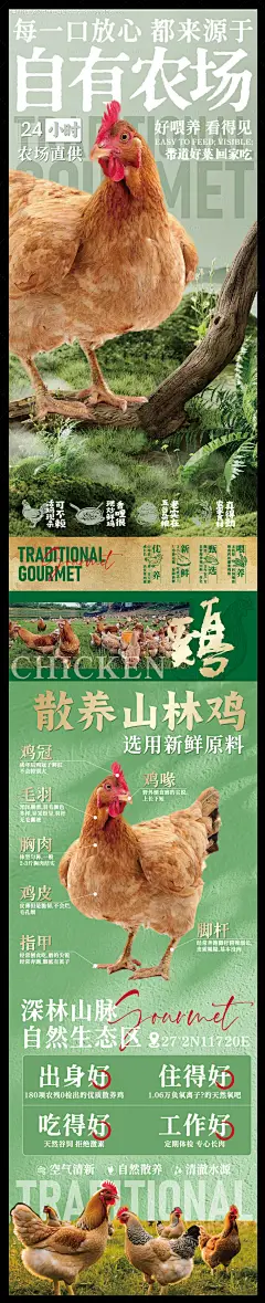 源文件下载【享设计】搜索编号：42700033117184160【赣南美食散养土鸡海报】