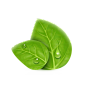 绿植草木花卉素材   专注电商资源采集       (105)png素材 透明素材 png图片 绿色 水果 鲜花 植物 干净 栀子 花 树叶 绿叶 叶子 芦荟 健康 摄影 高清 素材 草丛 香菇 茶叶 菜 大自然图片 小素材 花木 植物 水果 厨房 蔬菜 肉类 素材 PNG免抠 花藤 树叶 叶子 花丛 北坤人素材 @飞天胖虎