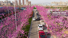 🌸沙沙沙🌸采集到Landscape|道路景观/交叉口