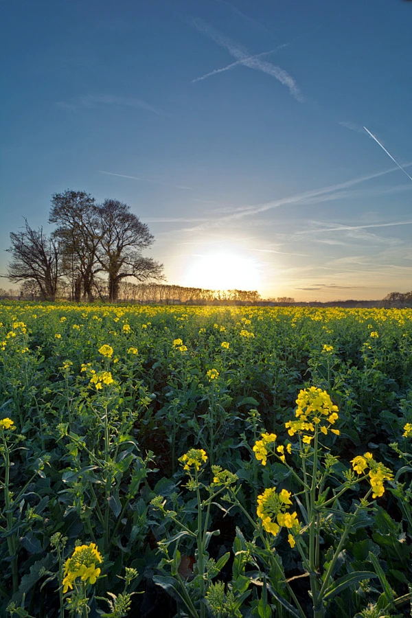 magicalnaturetour: Spring In France by Pascal... - landscapes & nature ...
