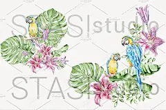 手绘水彩花卉剪贴画PNG免抠图-透明png 夏季水彩花卉和鹦鹉剪贴画免抠素材- 未来mac下载