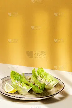 自制凯撒沙拉配鸡肉，生菜，柠檬，吐司，凯撒酱，奶酪和大蒜