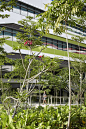 新加坡科技设计大学 - UNStudio (15)