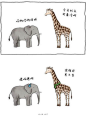 ……乌龟是故意的