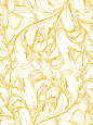 07e052310ded0aac506b852c477635e8858c79ab4a5eea-IvadCC_fw658webp