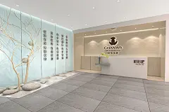 禅蛙围棋 - 案例 - 品牌设计|设计公司|VI设计|SI设计|LOGO设计公司|杭州巴顿品牌设计有限公司