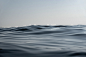 Pure Waves  Gray Whale on Behance