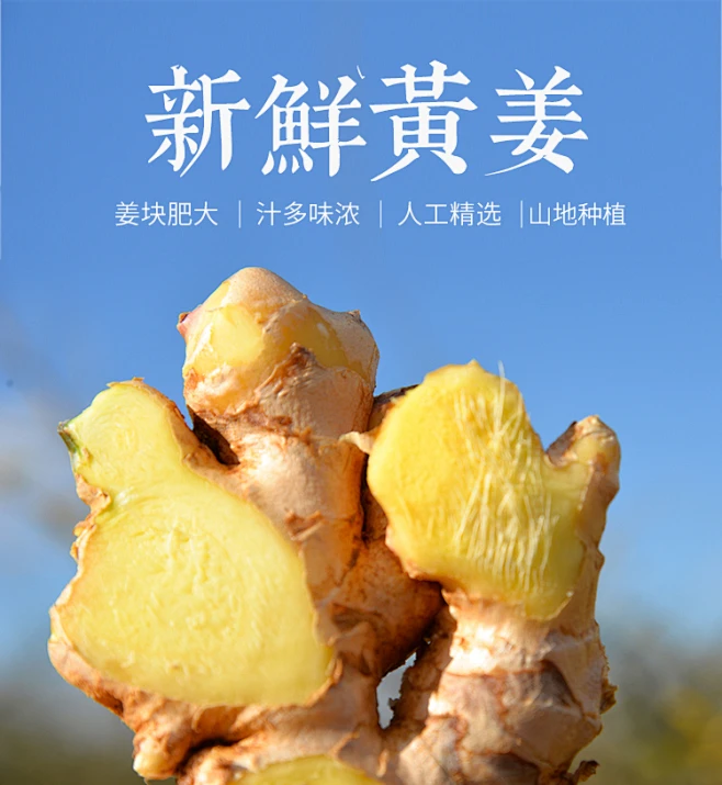 云南小黄姜 生姜新姜月子姜新鲜蔬菜香辣多丝净重5斤年货蔬菜包邮-tmall.com天猫-花瓣网