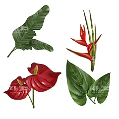 花卉 矢量花  - 源文件下载【酷图网】花卉,矢量花,花朵,红蓝玫瑰,月季,北欧风格元素,绿叶植物,贺卡,花草,花卉植物,鲜花,