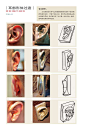素描耳朵 (8)