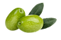 6f0d62c05332c80c9946c3d07ef3b2f3a5c56c355579a7-md25RJ (1)
