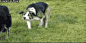 a82b014bjw1ek8l1qxec2g208w04hhdt.gif (320×161)