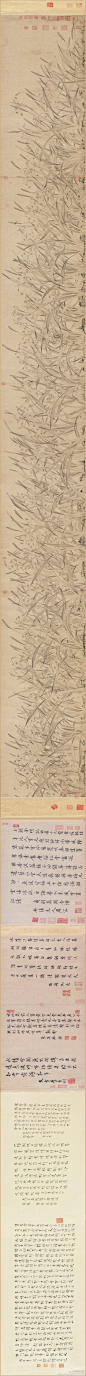 南宋 赵孟坚《水仙图卷》纸本 墨笔 横：670.2cm 纵：24.5cm 藏天津博物馆。看着看着好像闻到花香了