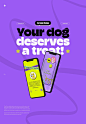 ChewChoo! — Making dogs happier