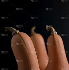 白胡桃南瓜与头的角度，创造运动与食物景观风格和黑暗的背景。现代自然的食物模式，食色，准备，烹饪与讲故