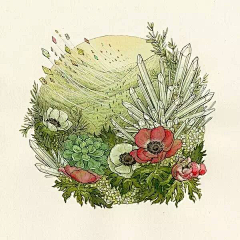 猫粒2010采集到插画植物