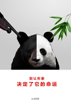 👄露露露露露采集到公益海报