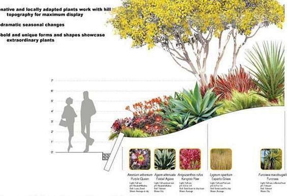 景观设计分析图-植物配置分析-景观剖面图...