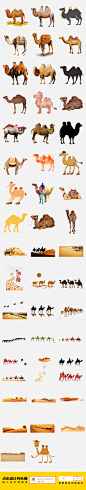 50款卡通手绘沙漠骆驼一带一路PNG素材