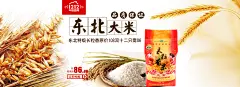 东北大米稻米饭店促销宣传banner