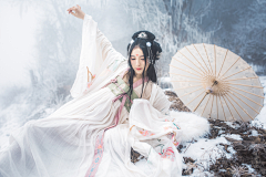 盗心狐采集到汉服