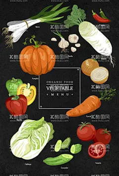 美食插画  - 源文件下载【酷图网】美食,美食插画,手绘美食,蔬菜,蔬菜美食,料理,餐饮插画,食物,设计,广告设计