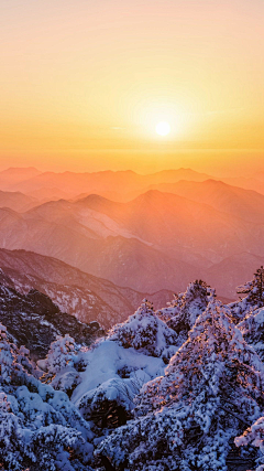 星空白米采集到背景