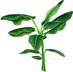 手机端、无线端首页、手机端首页、手机APP首页、淘宝手机端首页、天猫手机端首页、男装手机端首页、女装手机端首页、食品手机端首页、饰品手机端首页、童装手机端首页、母婴手机端首页、电器手机端首页、箱包手机端首页、鞋子手机端首页 无线钻石展位，首焦资源位，创意海报设计，手机端海报，无线钻展，淘宝APP，天猫APP，首焦海报，天猫京东电商活动轮播海报平面设计 男女装 家电数码 电器建材 母婴玩具 箱包女鞋 珠宝首饰 美妆 化妆护肤品 食品 茶 酒 电脑办公
家居背景、家居海报背景、海报背景、家居场景、家装背景、家