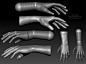 Hand Study, Amit Kolay : Hand Study done in Zbrush.