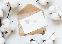 空白卡片和信封在白色的桌子上与棉花花顶视图
