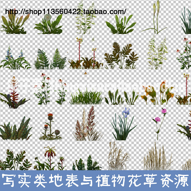 游戏美术资源 手绘写实类地表与植物花草p...