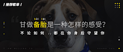 Dick何采集到音乐banner