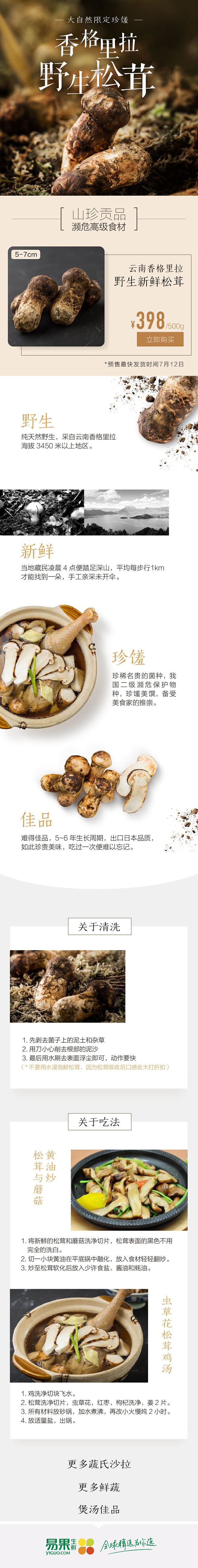 松茸菌菇蔬菜