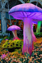 Holy Molly, This is The Mother of All Mushrooms!: 