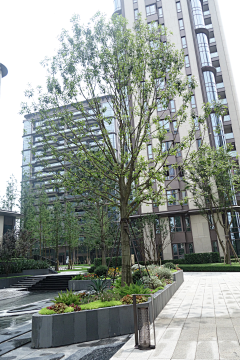 XingFuML采集到重庆龙湖舜山府大区