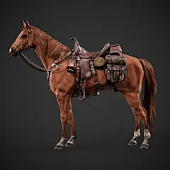 Oasis Horse - Character Breakdown - Adarsh Shetty