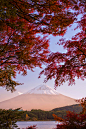favorite-season:

Mt. Fuji area is now fully autumn by  Hidetoshi Kikuchi 
