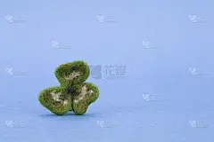 好运三叶草羊毛装饰三叶草