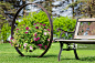 Flower Basket Hanging on Wagon Wheel by Garden Bench