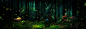 森林,植物,蘑菇,树叶,海报banner,摄影,风景图库,png图片,网,图片素材,背景素材,26975@北坤人素材
